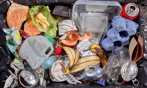 Częsty błąd w segregacji. Nie każdy wie, gdzie to wyrzucić