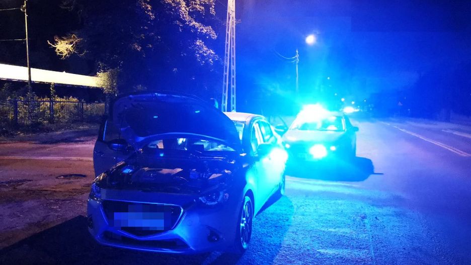Warszawa. Trzej paserzy złapani przez policję na gorącym uczynku. W leśnej "dziupli" rozkładali na części skradziony w stolicy samochód kia (Policja)  