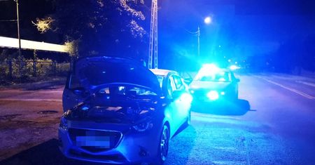 Warszawa. Dopadli ich w lesie. Zaskoczeni w "dziupli"