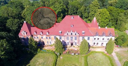 Niezwykłe odkrycie w polskim pałacu. "Cudo"