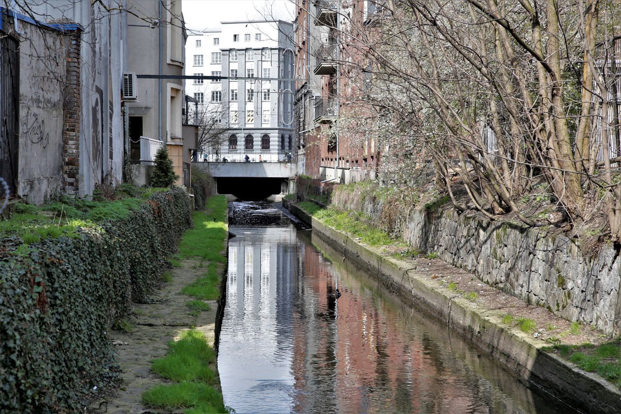 Katowice. Czystsza Rawa. Z jej koryta wyciągnięto... lodówkę