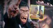 Film o Williamsie wchodzi do kin. Nie mogło zabraknąć Polki