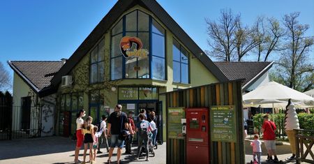 Tłumy w ogrodach zoologicznych. W weekend przeżywały oblężenie
