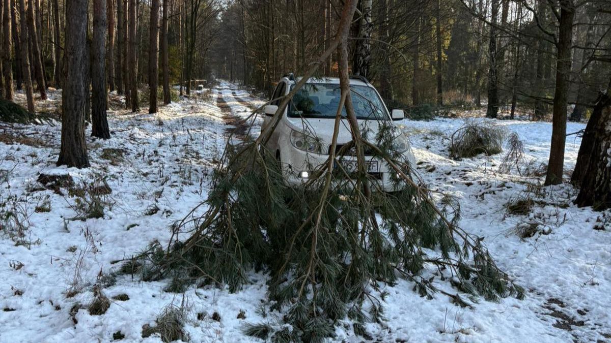 Leśnicy ostrzegają: niebezpieczna sytuacja w lasach