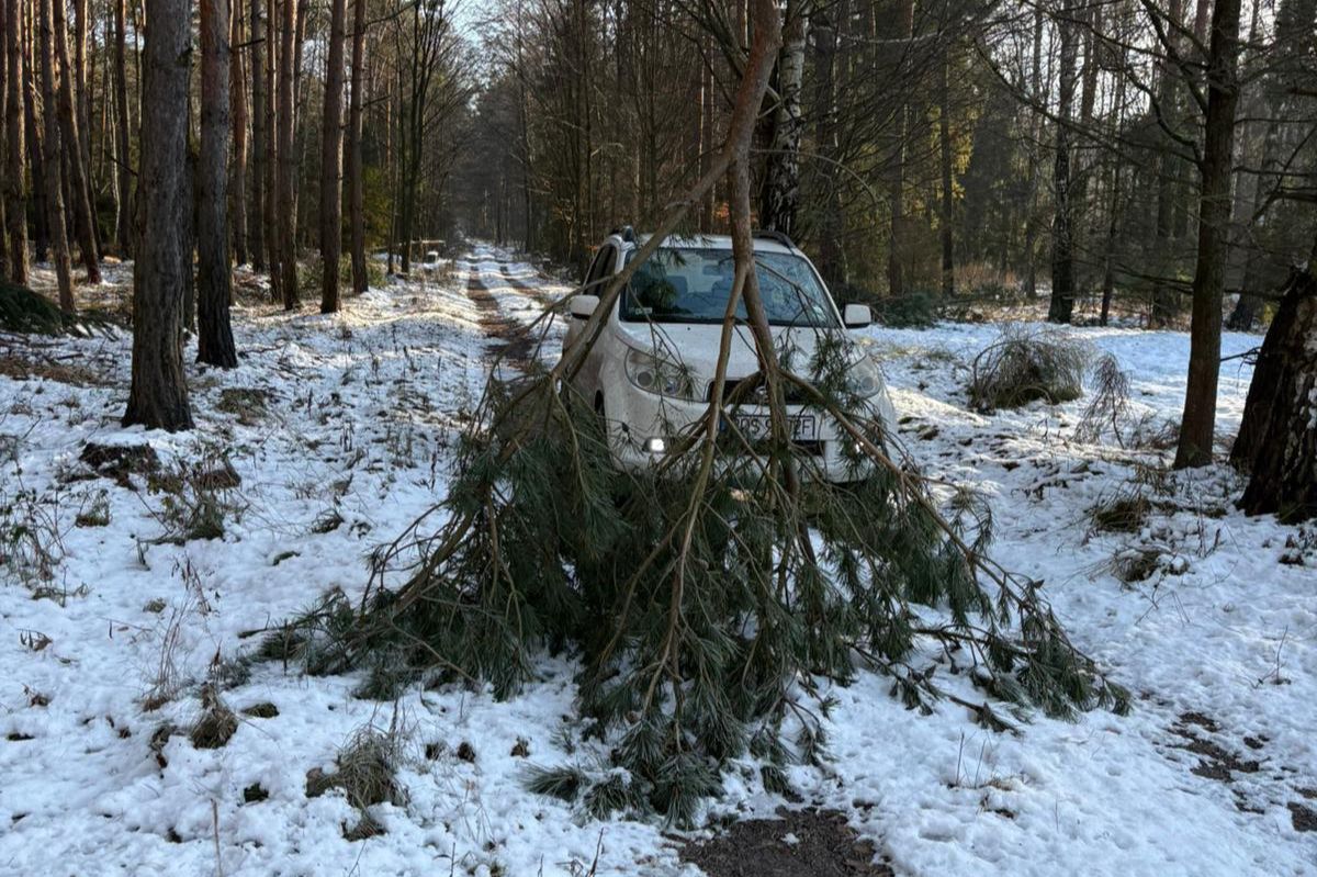 Leśnicy są wstrząśnięci. Od razu zaapelowali. "Nie zbliżać się"