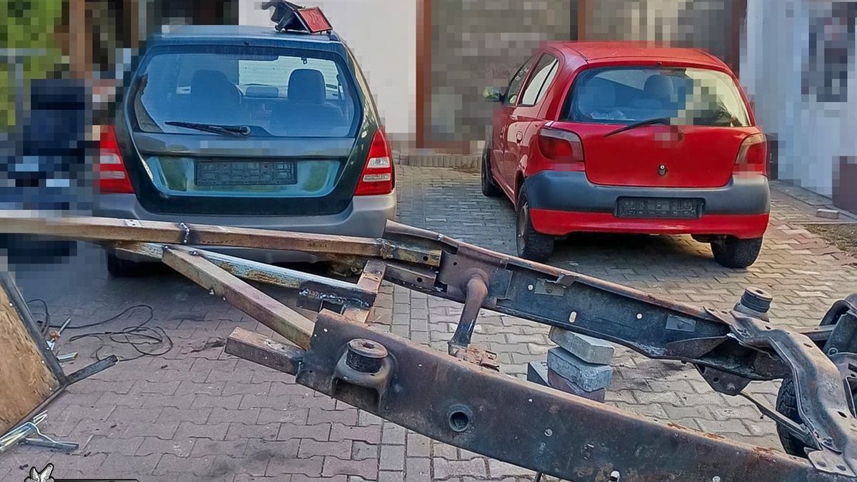 policja