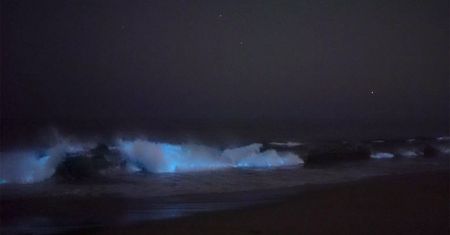 Fotograf ujął piękne zjawisko ”świecących fal”. Skąd się to wzięło?