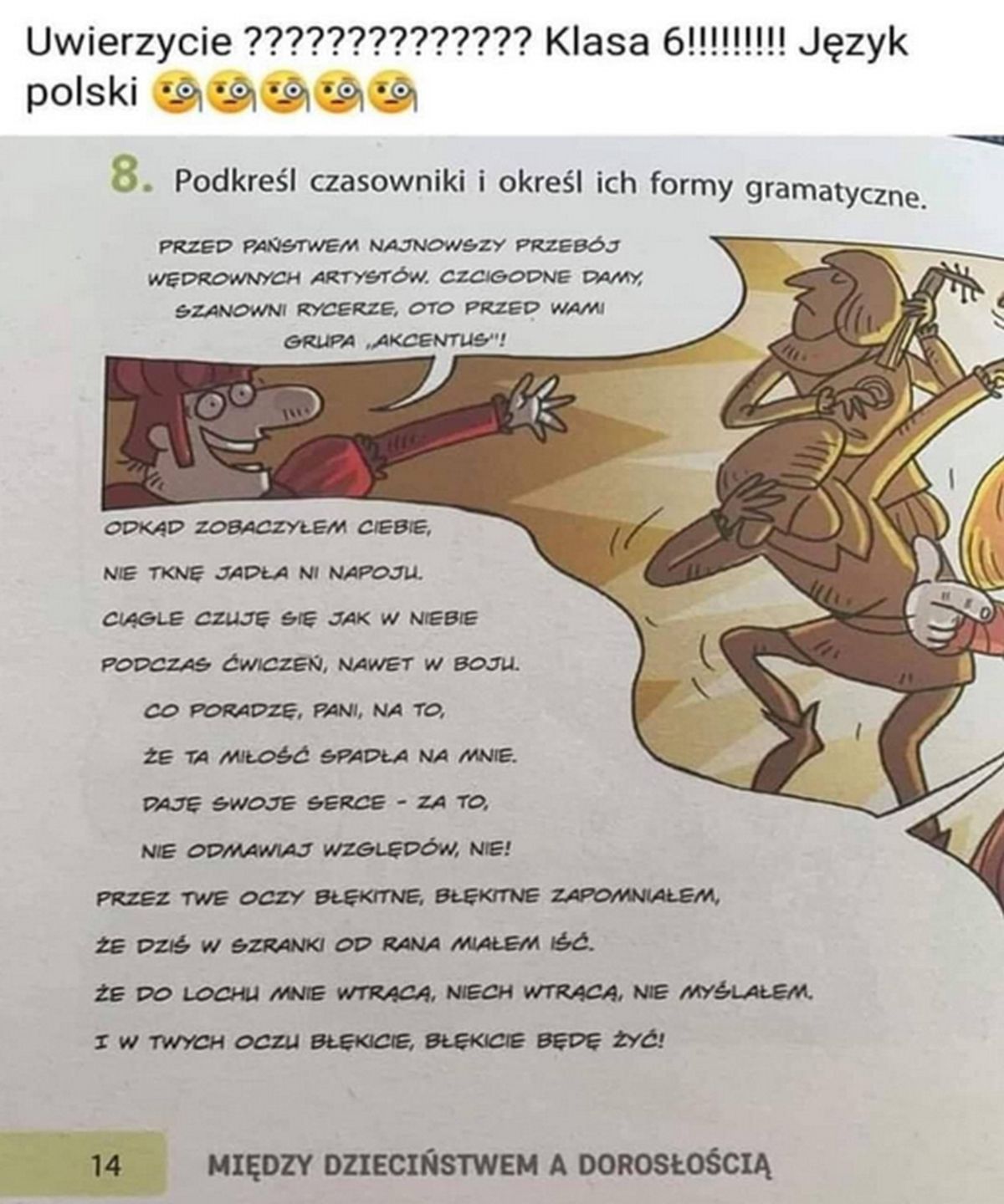 Utwór Zenka Martyniuka w podręcznikach do języka polskiego