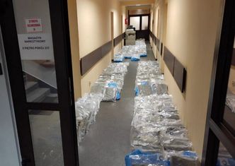 Marihuana ukryta w ogórkach. Policjanci przejęli ćwierć tony "towaru"