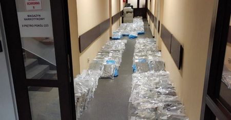 Marihuana ukryta w ogórkach. Policjanci przejęli ćwierć tony "towaru"