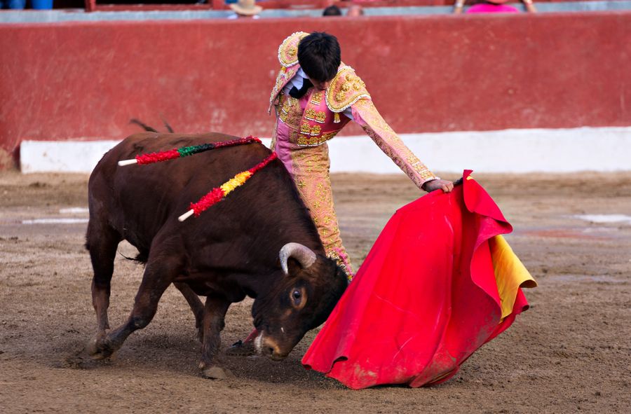 Hundreds of people protest against bullfighting in Spain