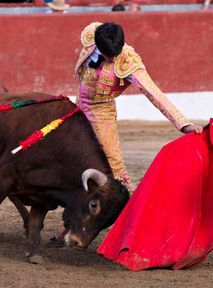 Hundreds of people protest against bullfighting in Spain