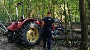 Tragedia podczas prac w lesie. Konar przygniótł ciągnik, zginął 28-latek