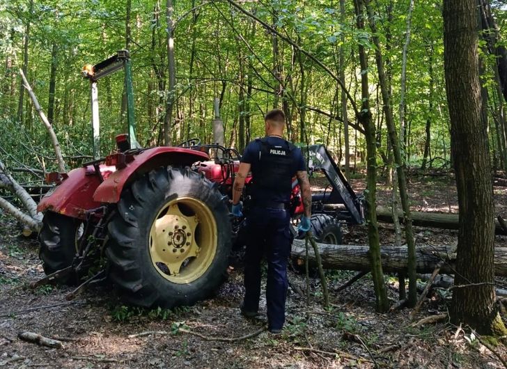 Tragedia podczas prac w lesie. Konar przygniótł ciągnik, zginął 28-latek