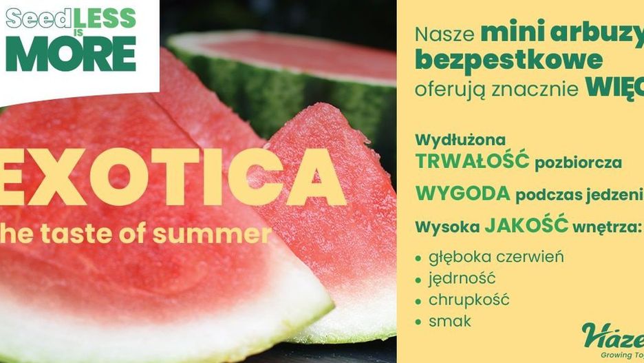 Bezpestkowy mini arbuz Exotica w konkursie na innowację roku!