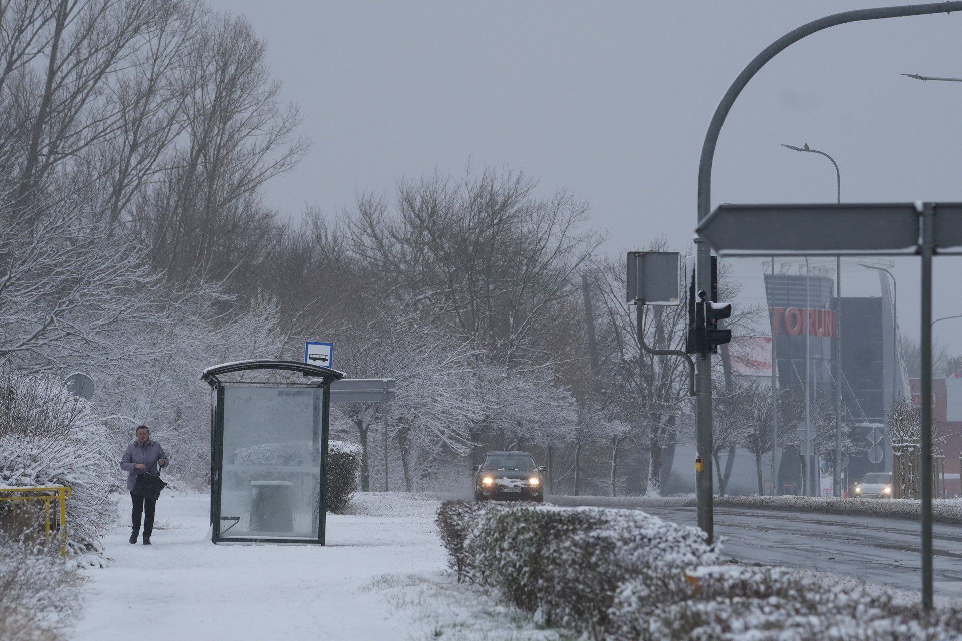 Toruń po ataku zimy