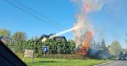 Płomienie sięgały kilkunastu metrów. Tak skończyło się grillowanie w ogrodzie