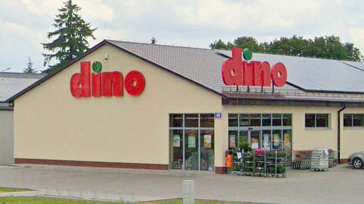 Najnowsze promocje w Dino