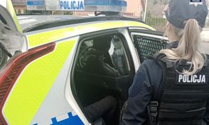 Pijany Gruzin wsiadł za kółko. Grozi mu deportacja