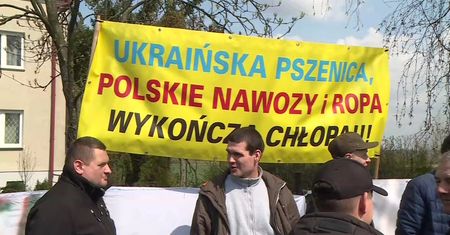 "Skandal". Wyszło na jaw, kto sprowadza zboże. Rolnicy są wściekli