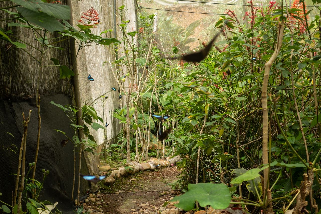 Owady i upał. Naukowcy ostrzegają przed skutkami