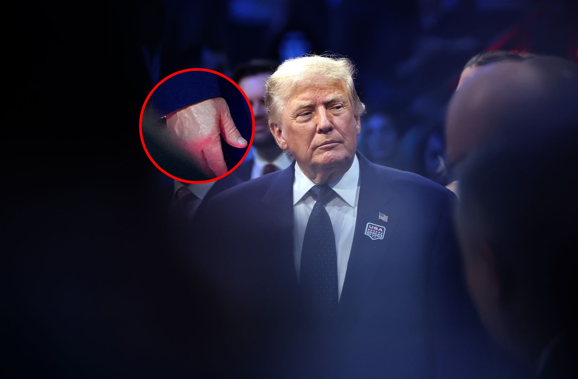 Trumpa dłoń