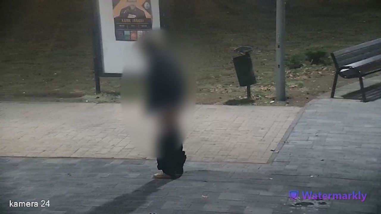 Nieobyczajne zachowanie w parku. Kamery wszystko nagrały