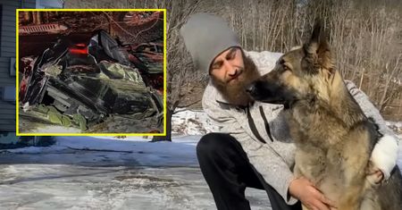 "Prawdziwa Lassie". Pies sprowadził pomoc do rannego w wypadku pana