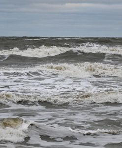 Alert IMGW. Nawet 8 stopni w skali Beauforta