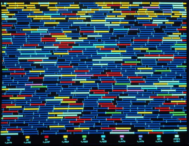 Wirtualne stworzenia (alife) - hodowla małych inteligencji 4