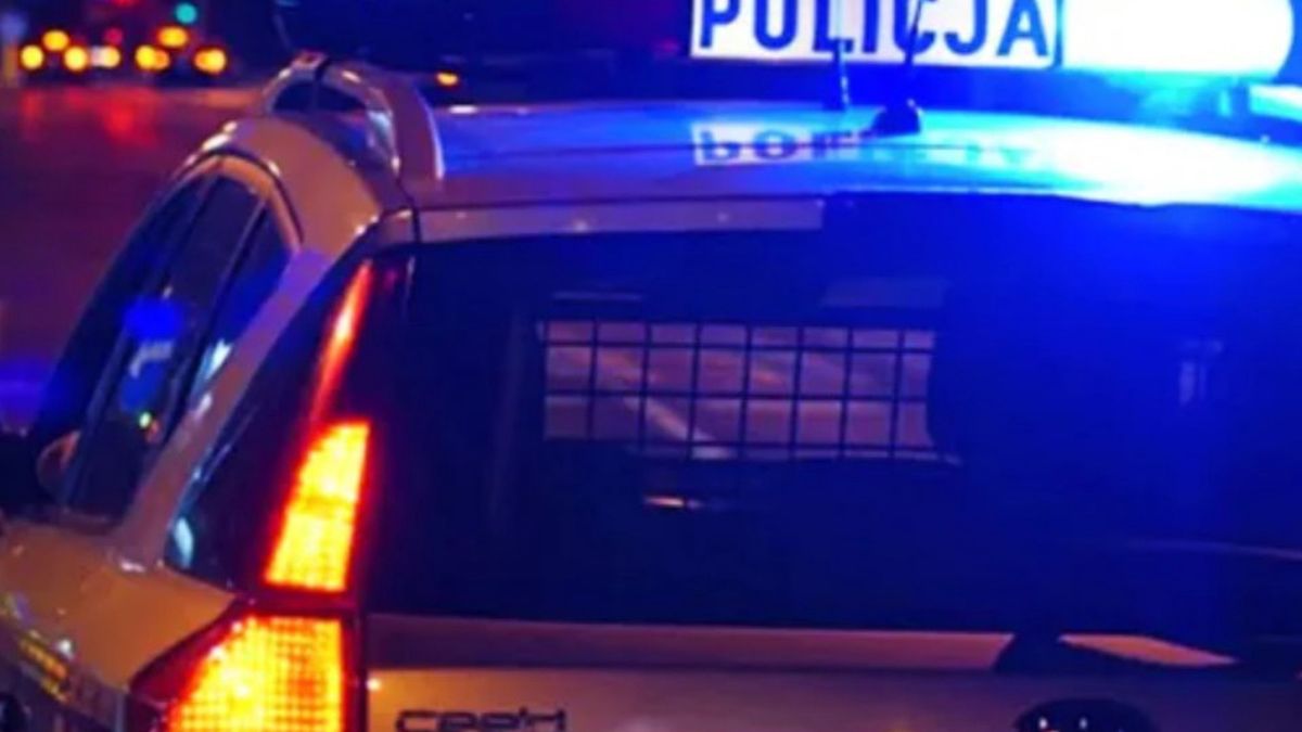 Przyjaciele pobili się w lesie, jeden nie żyj. Zapadł wyrok sądu