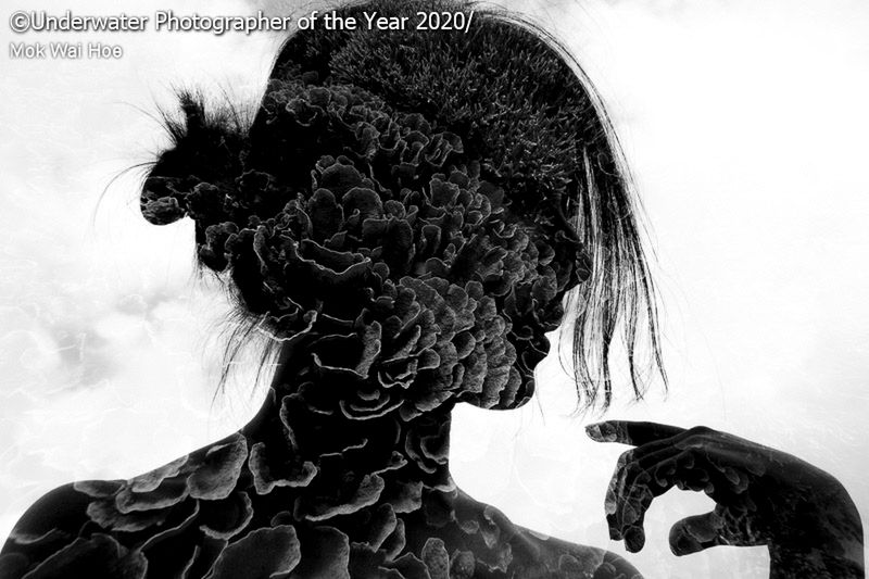 Underwater Photogrpher of the Year 2020 – najlepsze zdjęcia podwodne 6