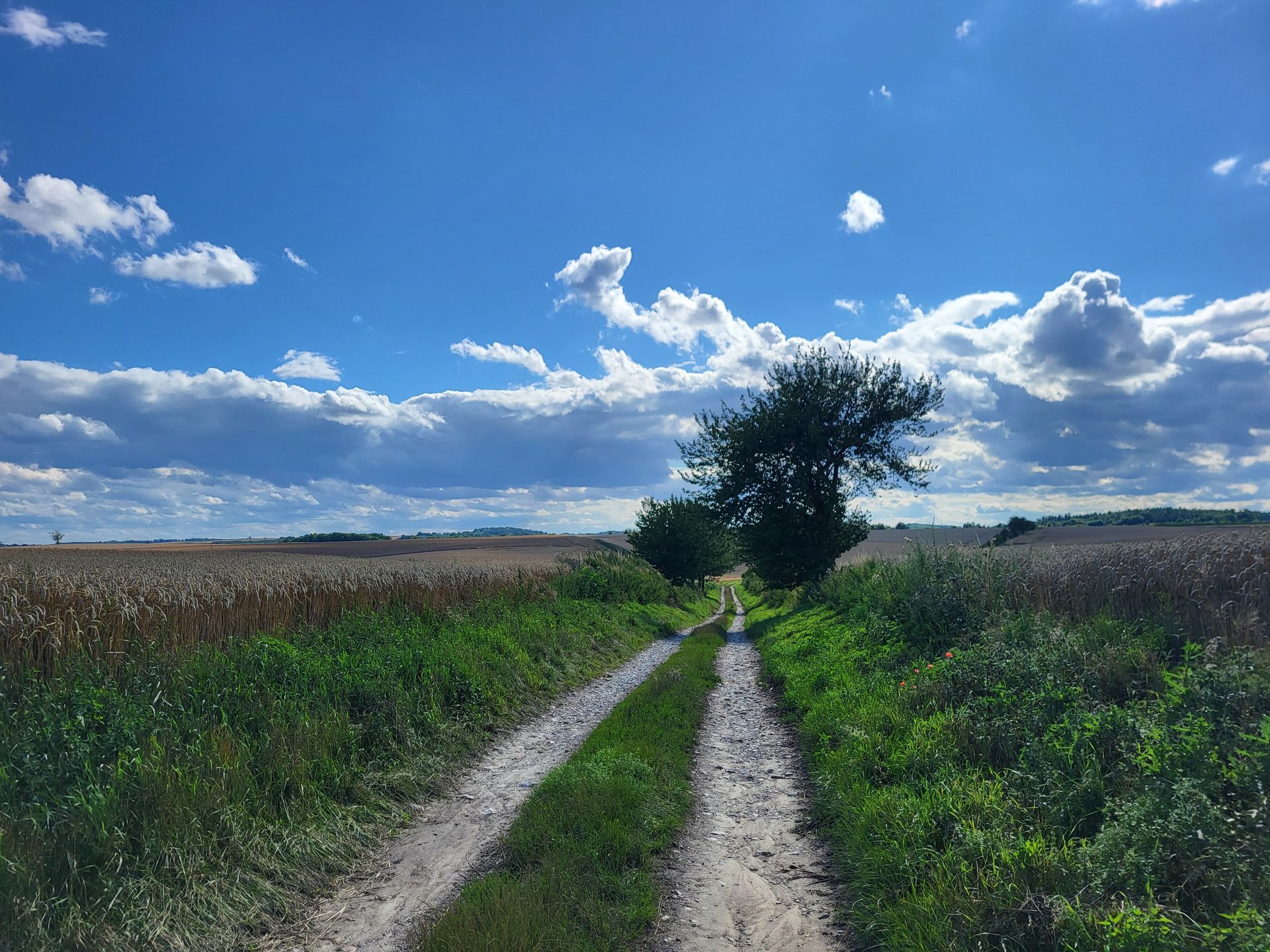 Na Opolszczyźnie rowerzyści znajdą dziesiątki kilometrów tak mal