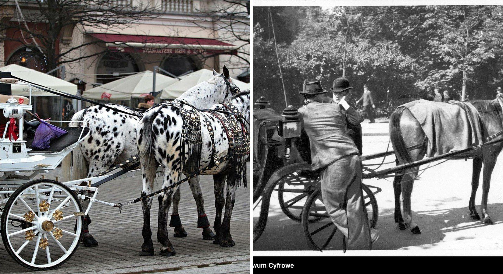 Kraków na przestrzeni lat. Tak się zmienił
