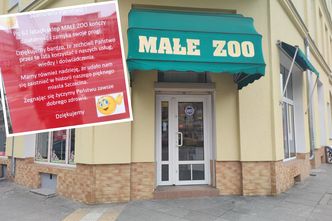 Internetowa mobilizacja nie zawsze pomaga. Szczeciński sklep upada po 62 latach