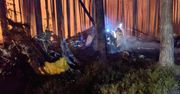 Katastrofa samolotu. Dotarli do świadka. Wszystko opisał