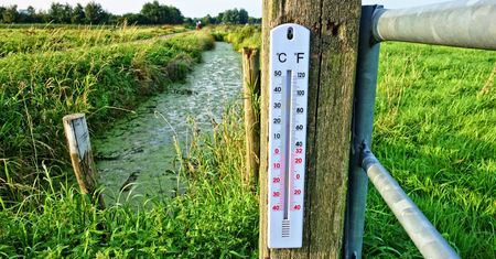 Aplikacja dnia: Meteo ICM. Prognoza numeryczna