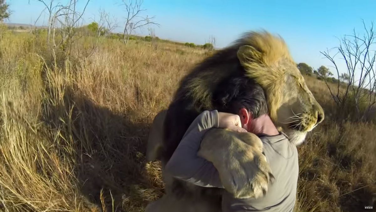 10 najlepszych ujęć dzikich zwierząt zrobionych, gdy się tego nie spodziewały 1