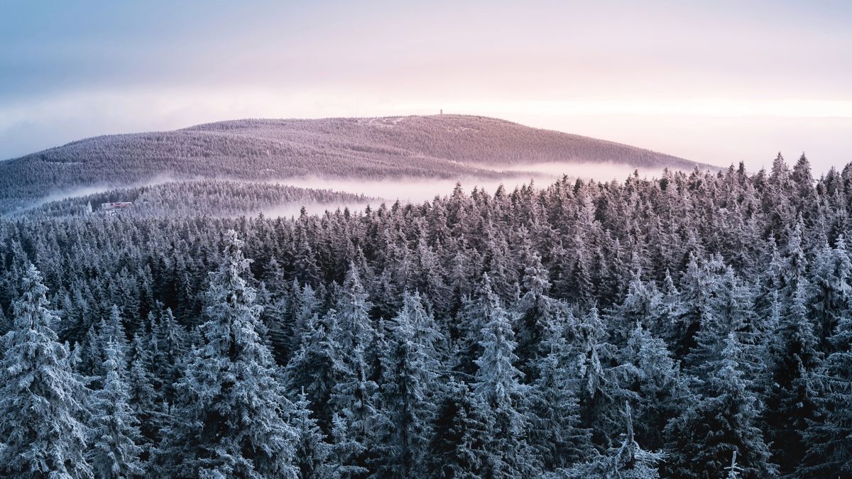 Wieża widokowa w Orlicy