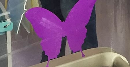 Smutny widok na porodówce. Fioletowy motyl. Wiesz, co oznacza?