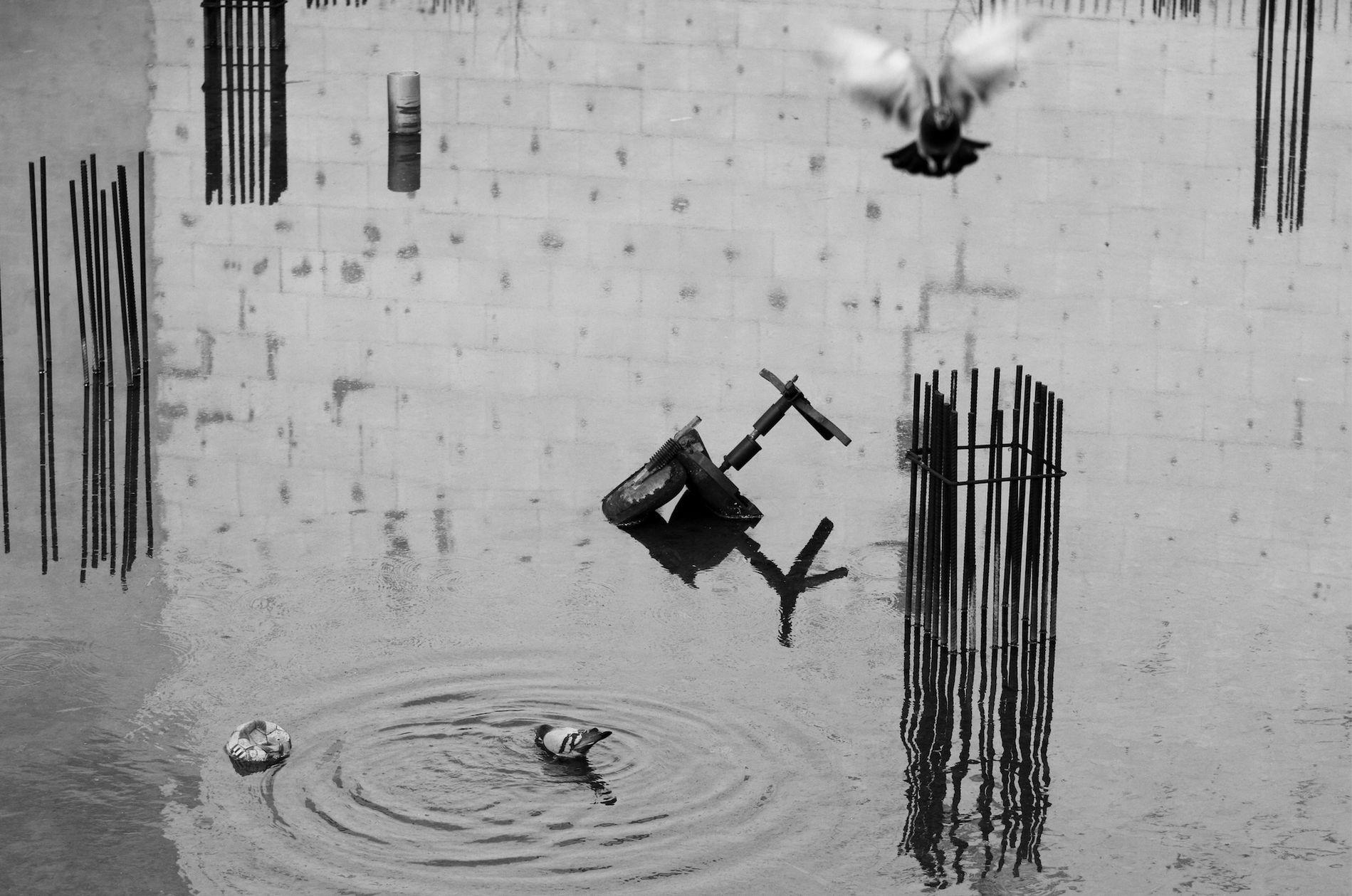 Jury nie wybrało Fotoreportera roku 2018. Trzech fotografów z wyróżnieniem 3
