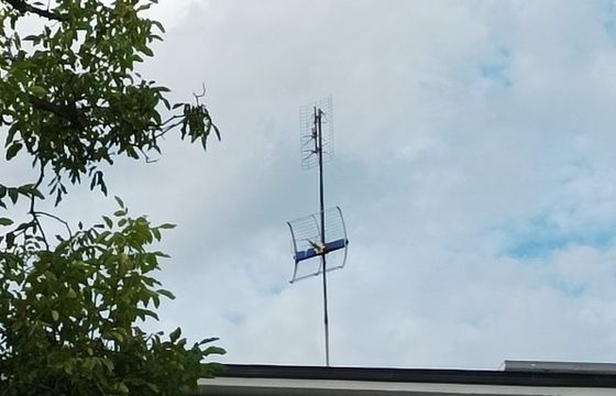 Nadawca publiczny testuje emisję naziemną kanału sportowego w 4K