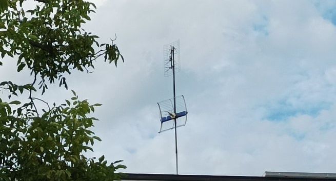 Nadawca publiczny testuje emisję naziemną kanału sportowego w 4K