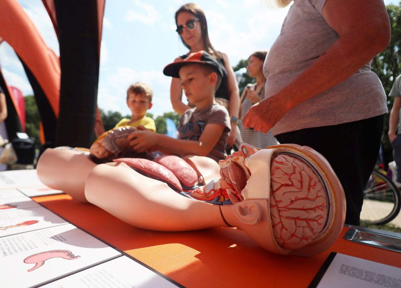 Lublin: Zobacz zdjęcia z pikniku Ale Kosmos!