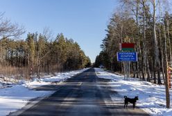 Dziwne zakazy i lęk przed "prowokacją". Co się dzieje w lasach na granicy Białorusi z Ukrainą?