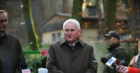 IPN chce dekomunizować lasy. Pisma trafiły do nadleśnictw