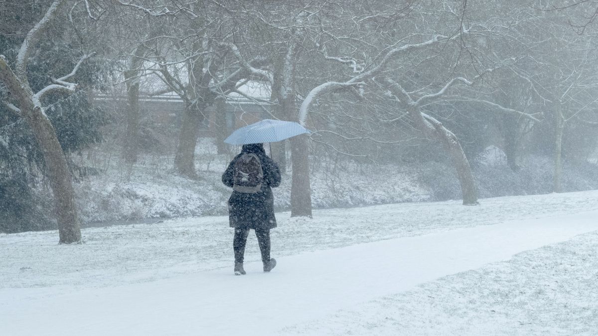 Zima jeszcze nas zaskoczy