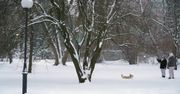 Łódź: Po silnym mrozie i śnieżycy zima nieco odpuści. Ale nie na długo. Jaka prognoza pogody na najbliższe dni?