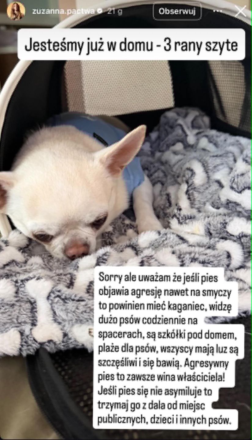 Zuzanna Pactwa miała do czynienia z agresywnym psem