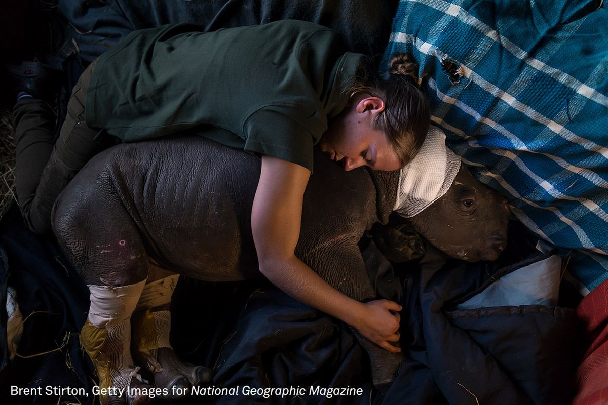 Burhan Ozbilici autorem zdjęcia roku w World Press Photo 2017. Zobaczcie pozostałych nagrodzonych 77